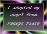 {link to pansys place}