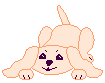 {short description of image}